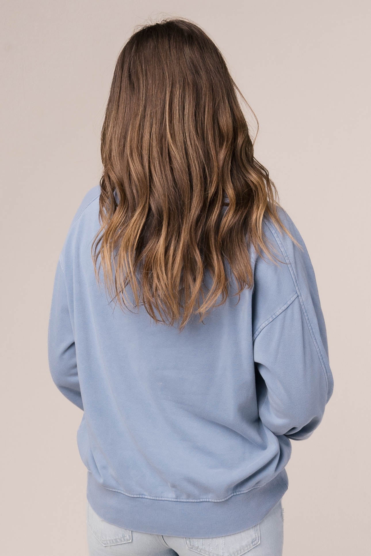 Washed Seamed Hooded Pullover
