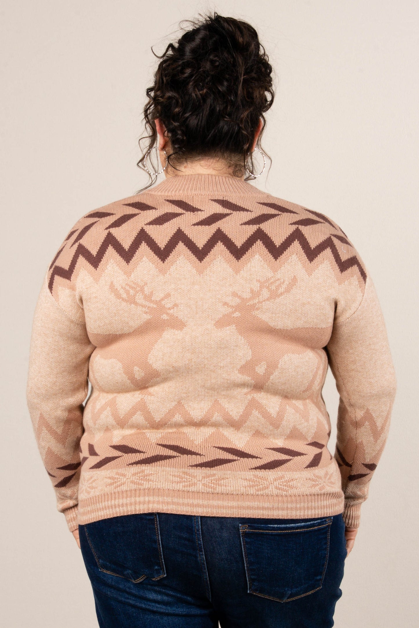 Up On The House Top Reindeer Sweater