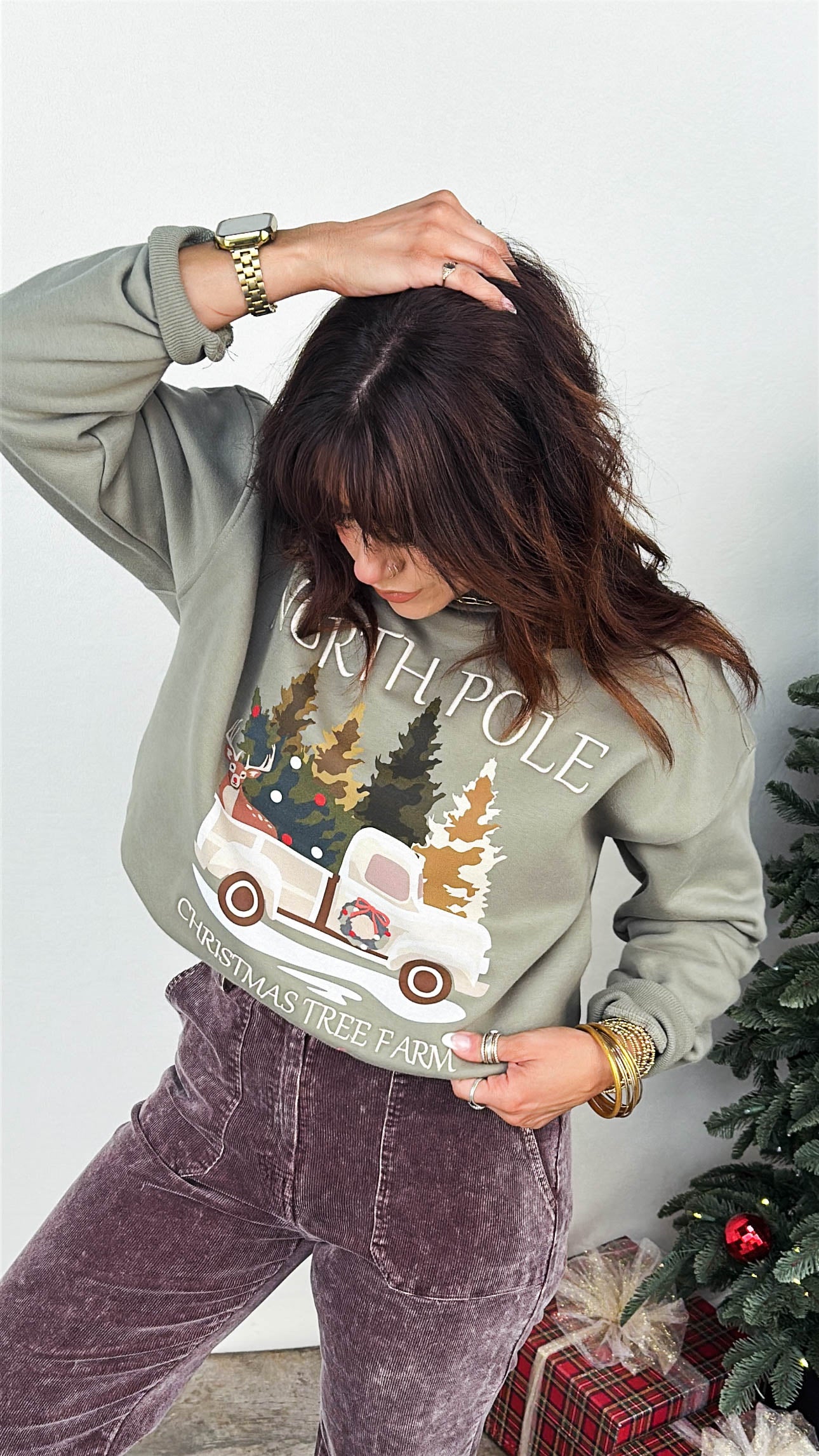 North Pole Embroidered Graphic Sweatshirt