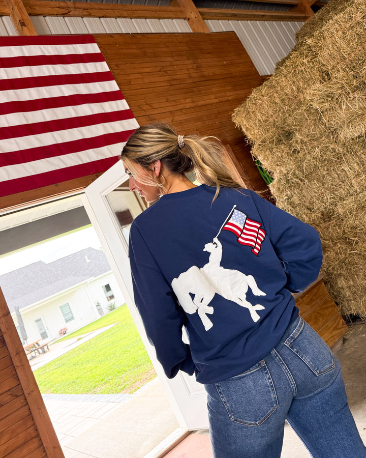 Freedom Flag Embroidered Applique Graphic Sweatshirt