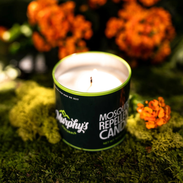 Mosquito Repellent Mini Trio Candles