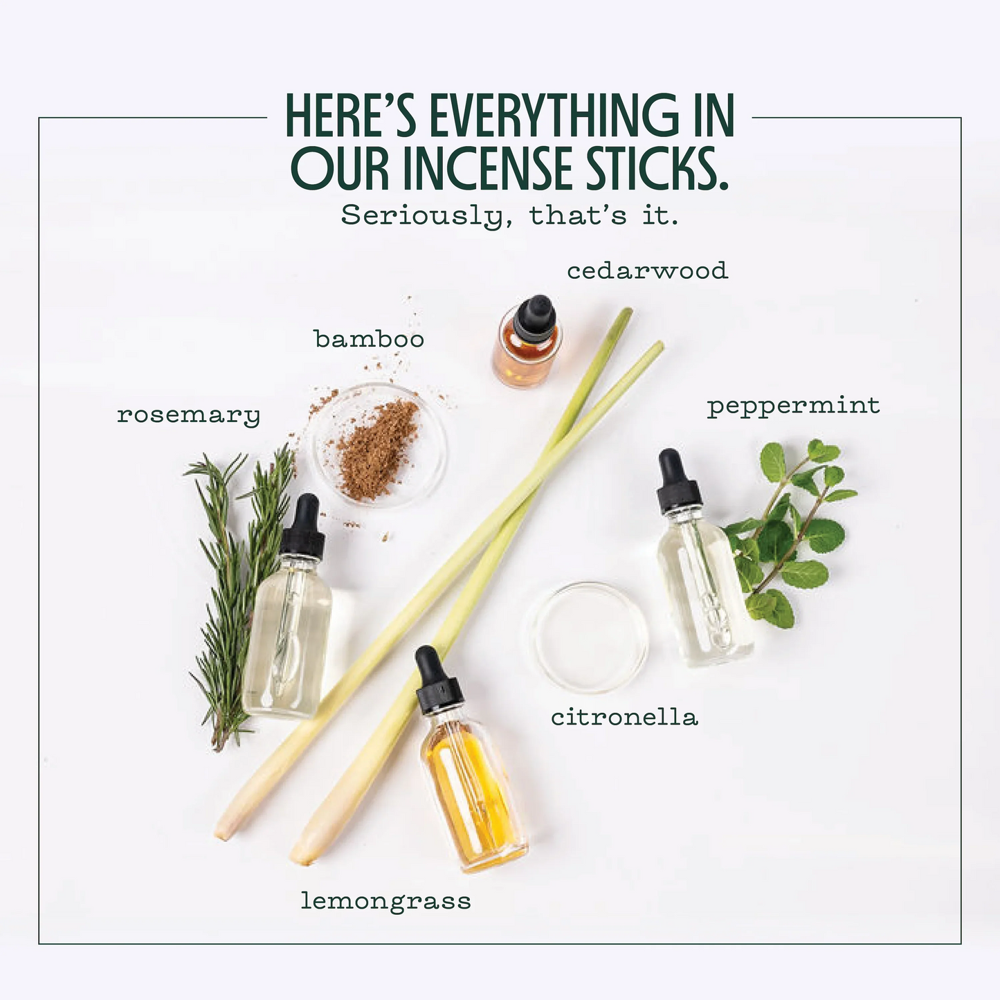 Mosquito Repellent Incense Sticks