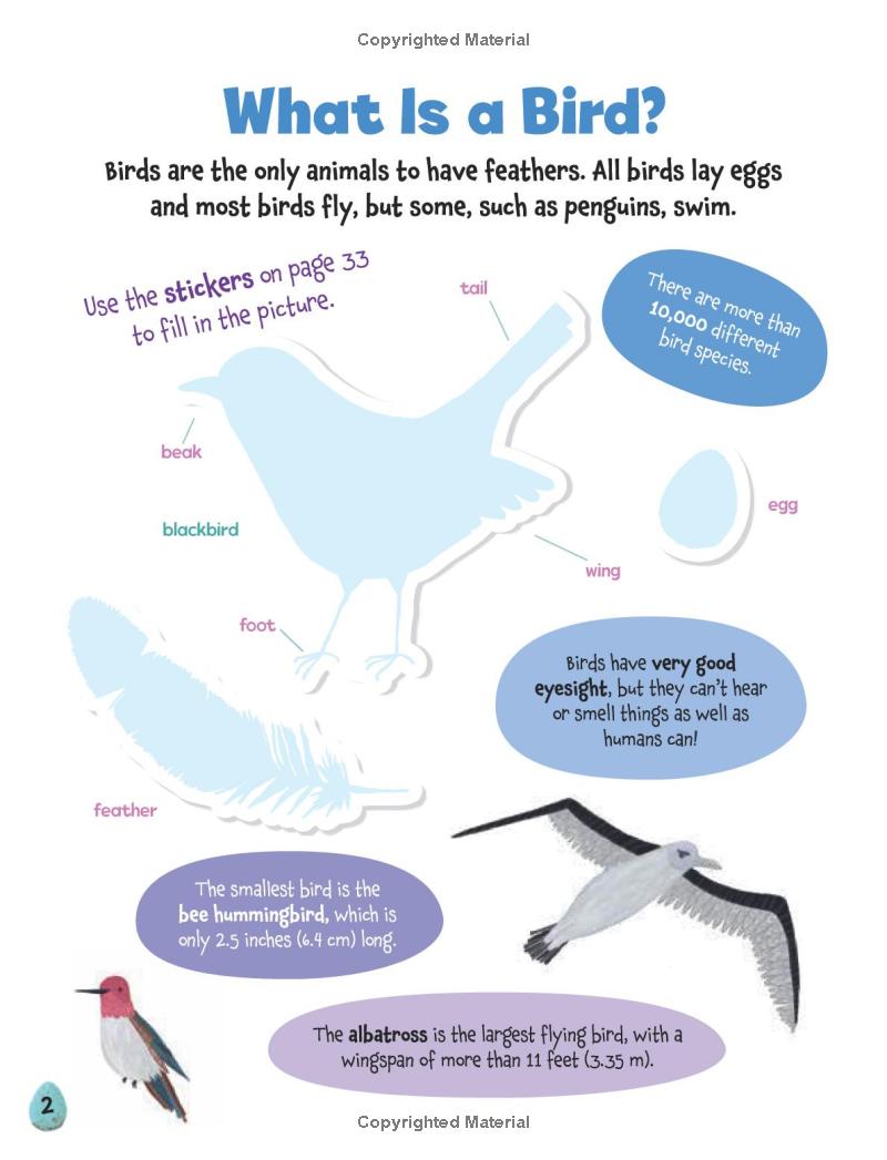 All About Birds Sticker Activity Book
