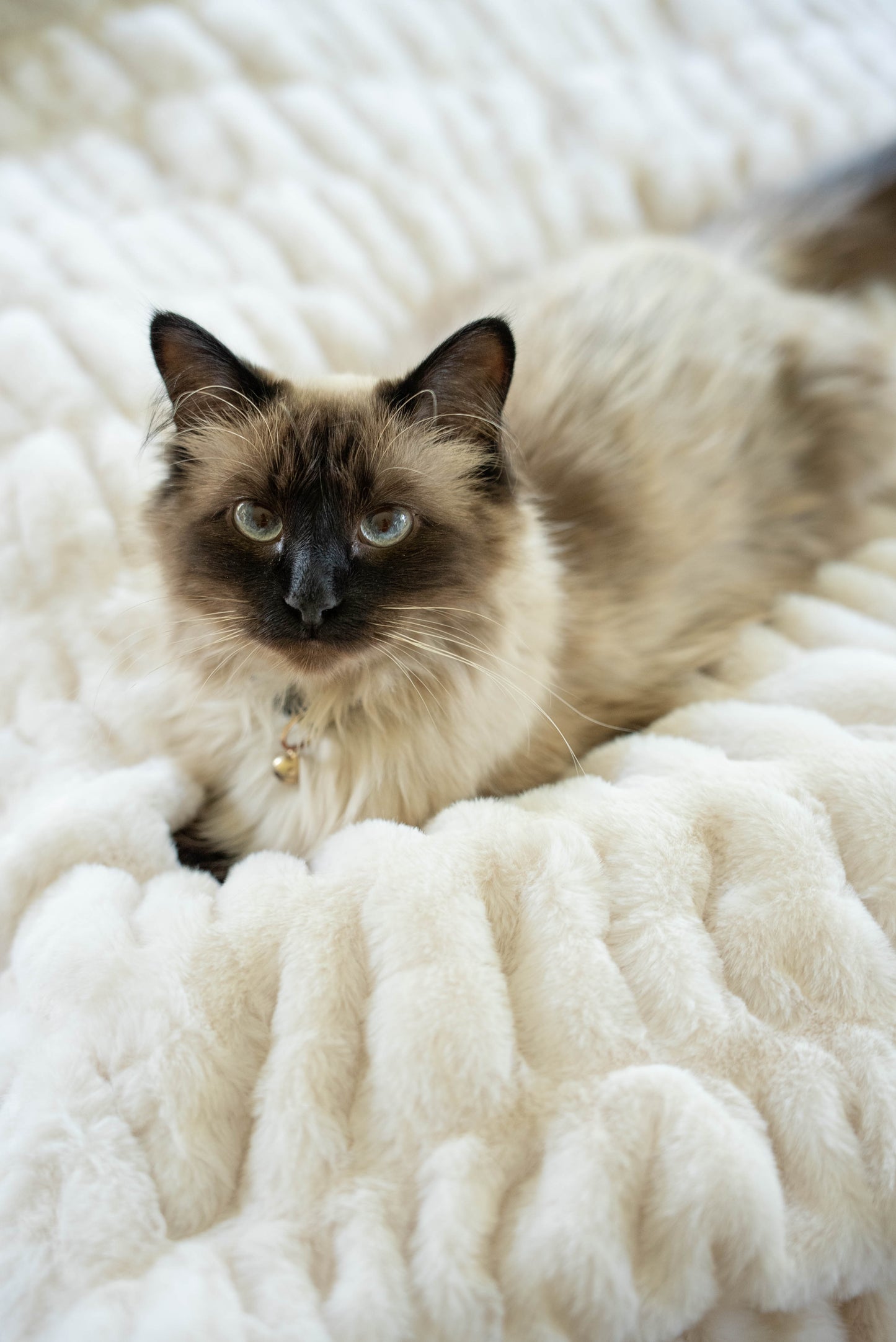 CAYA Blanket by Glamour Farms