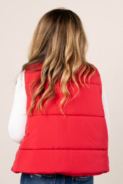 Skylar High Neck Puffer Vest