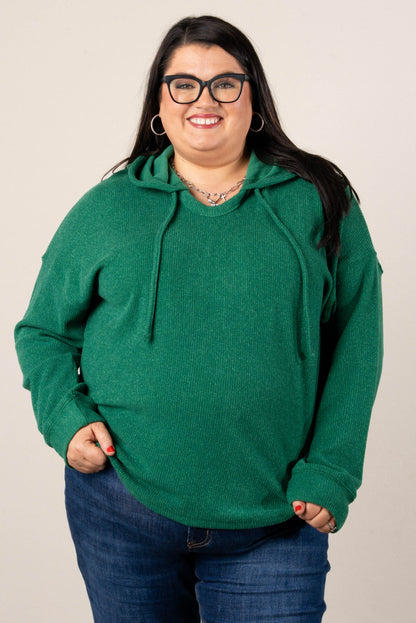 Ragina Brushed Drawstring Hooded Top
