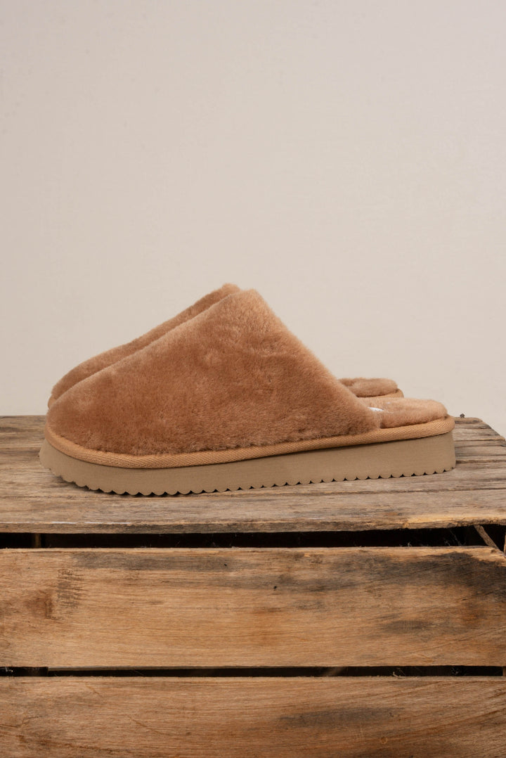 Comfy Slipper