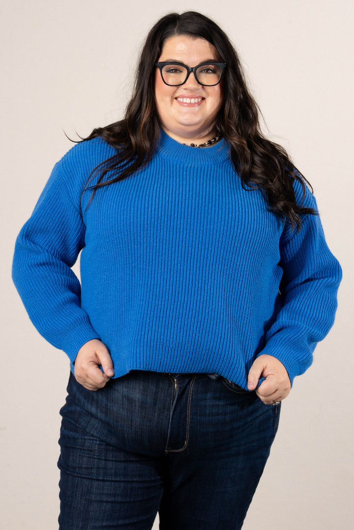 Geneva Rib Knit Hi-Lo Sweater