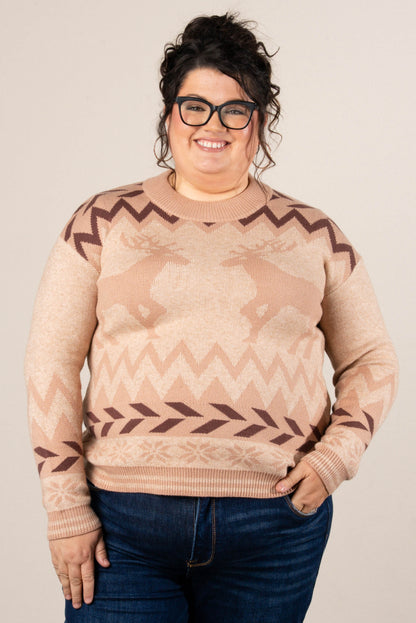 Up On The House Top Reindeer Sweater