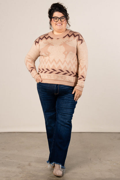 Up On The House Top Reindeer Sweater