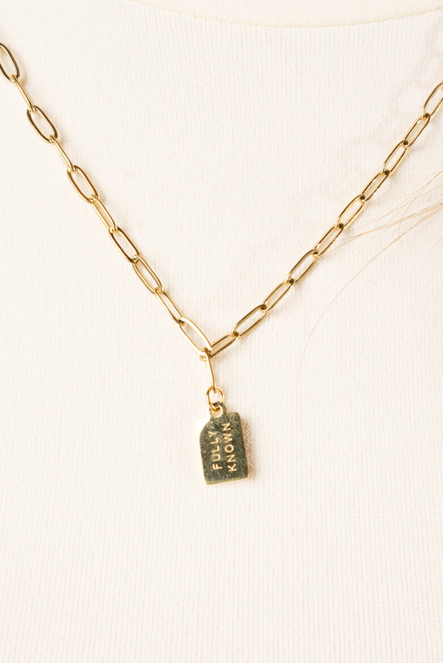 Fully Known Mini Tag Necklace