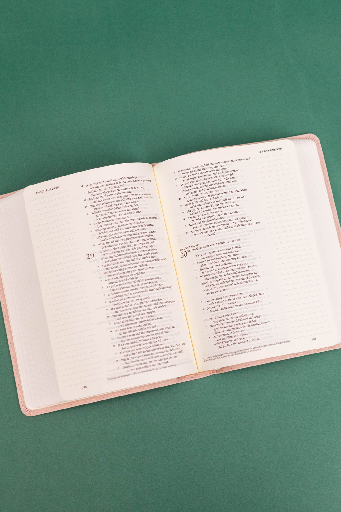 ESV Journaling Bible - Shiloh Theme