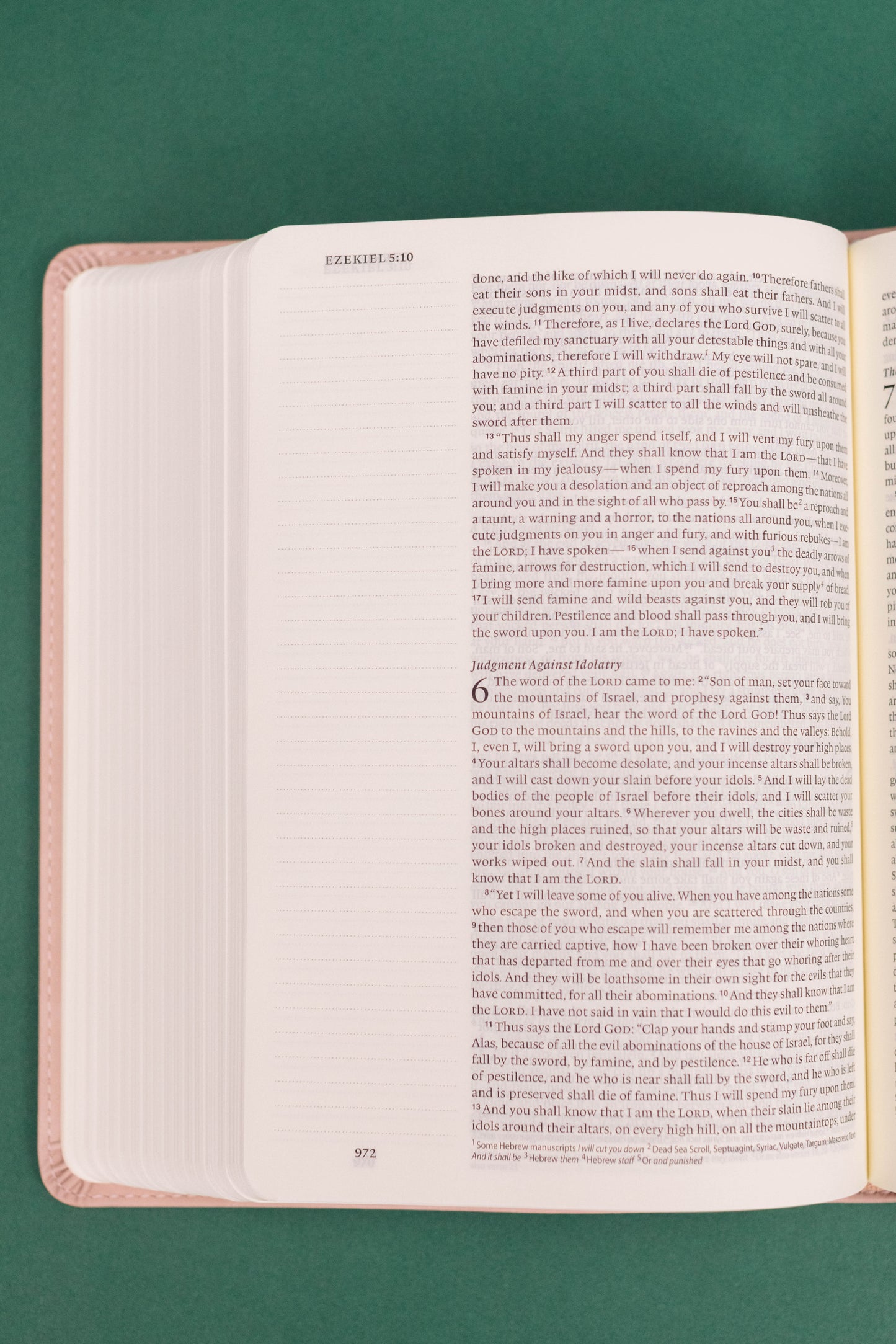 ESV Journaling Bible - Shiloh Theme