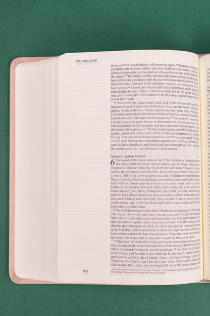 ESV Journaling Bible - Shiloh Theme