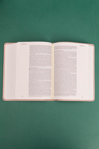 ESV Journaling Bible - Shiloh Theme