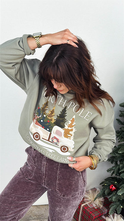 North Pole Embroidered Graphic Sweatshirt