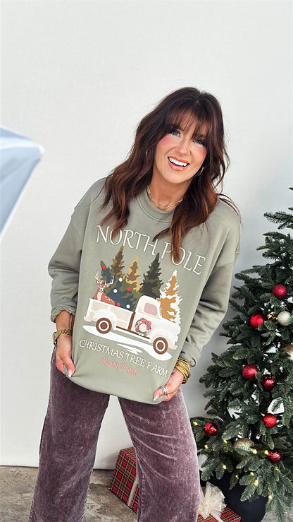 North Pole Embroidered Graphic Sweatshirt