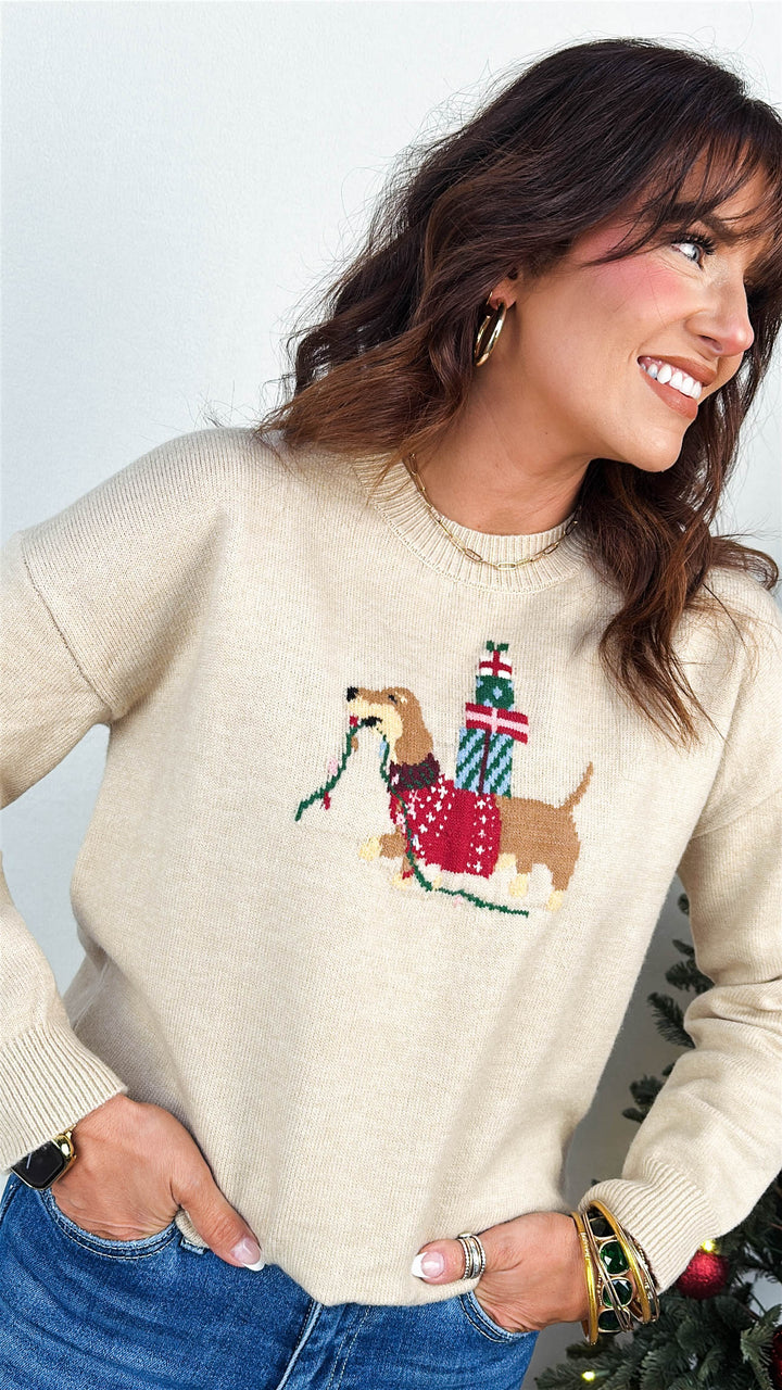 Christmas Dog Graphic Knit Sweater