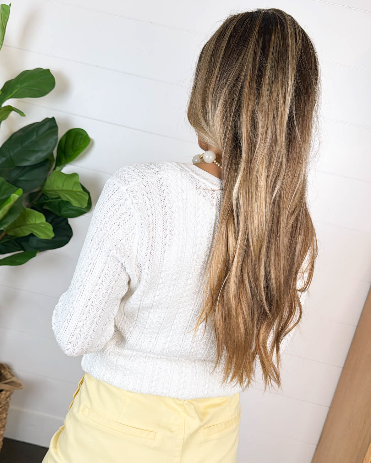 Chesapeake Pointelle Knit Sweater Cardigan