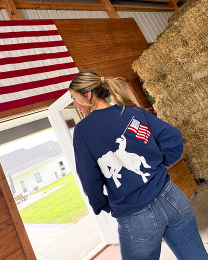 Freedom Flag Embroidered Applique Graphic Sweatshirt