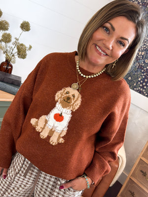 Pumpkin Spice Doodle Dog Knit Sweater