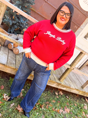 Jingle Baby Knit Contrast Trim Sweater