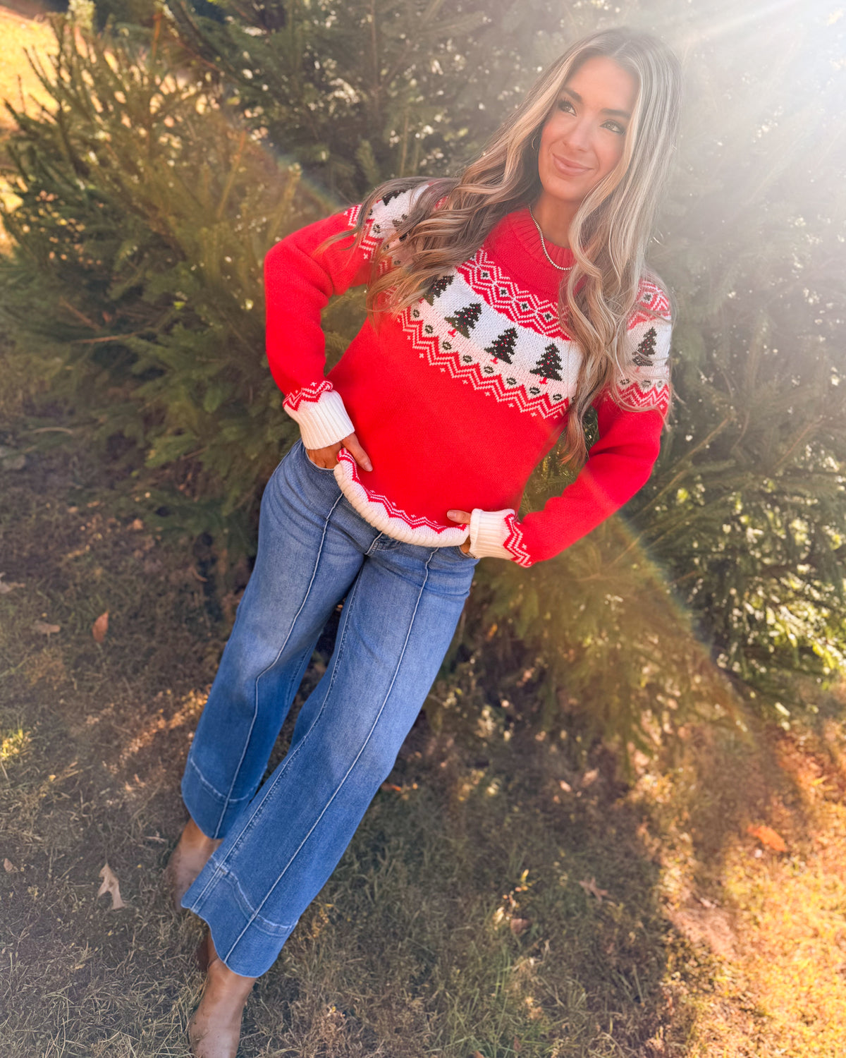 Alpine Christmas Fair Isle Sweater