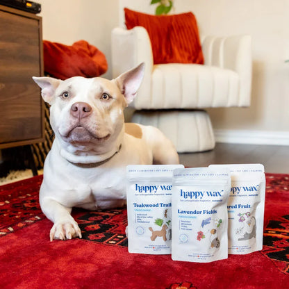 Odor Eliminator Wax Melts for Pets