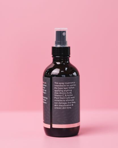 Step 2: Miracle Worker Toner