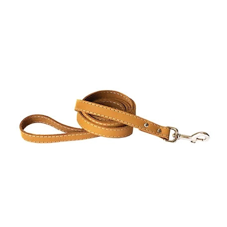 Traditional Style Leather Dog Lead