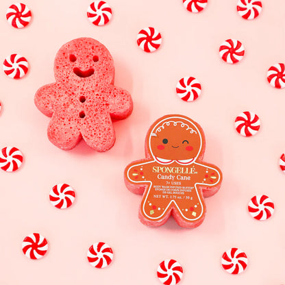 Spongelle | Holiday Gingerbread Body Buffer