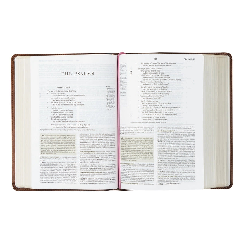 ESV Study Bible - Aurora Theme