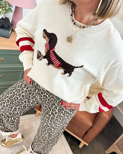 Game Day Dog Graphic Sweater