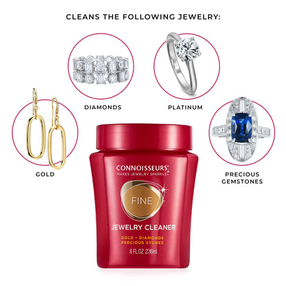 Jewelry Cleaner